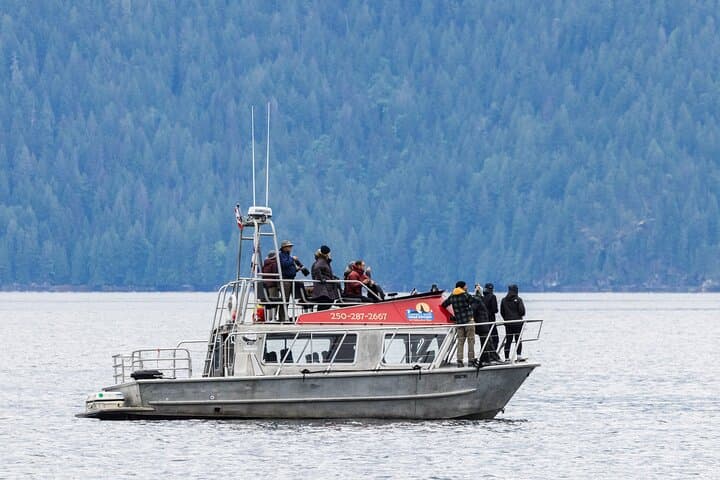 Spring Bear Watching and Waterfalls Boat Tour from Campbell River photo 5