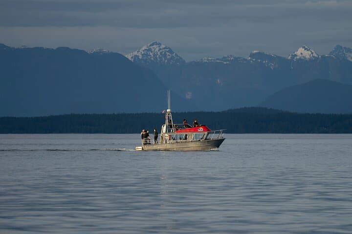Covered Boat Whale Watching from Campbell River — 4-Hour Salish Sea Wildlife Tour photo 2
