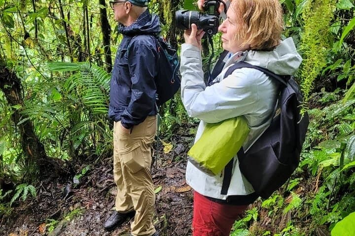 Papallacta Hot Springs & Guango Lodge Birdwatching Day Tour from Quito photo 2