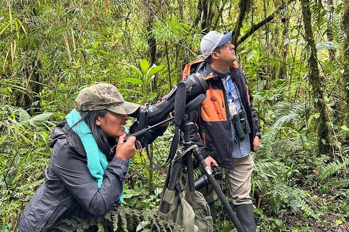 Papallacta Hot Springs & Guango Lodge Birdwatching Day Tour from Quito photo 3
