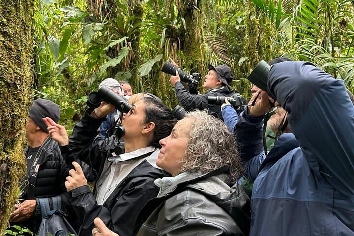 Papallacta Hot Springs & Guango Lodge Birdwatching Day Tour from Quito photo 5