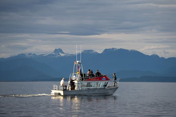 Toba Inlet Grizzly Bear Tour from Campbell River — Full-Day Wildlife Expedition photo 2