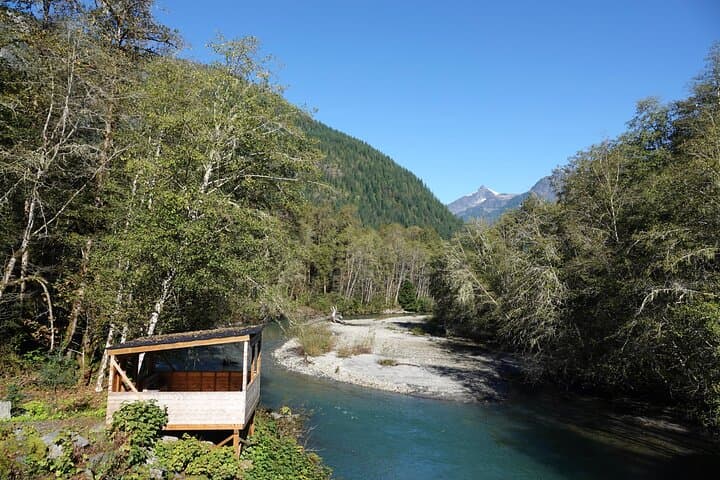 Toba Inlet Grizzly Bear Tour from Campbell River — Full-Day Wildlife Expedition photo 4