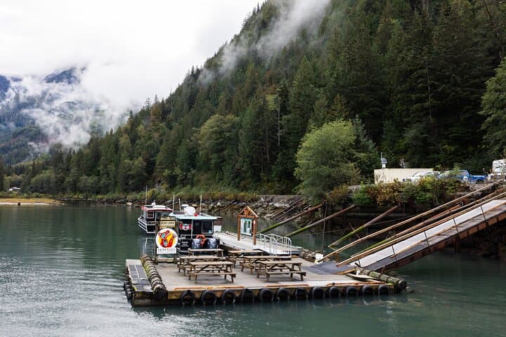 Bute Inlet Grizzly-Watching: Full-Day Boat Tour from Campbell River photo 5