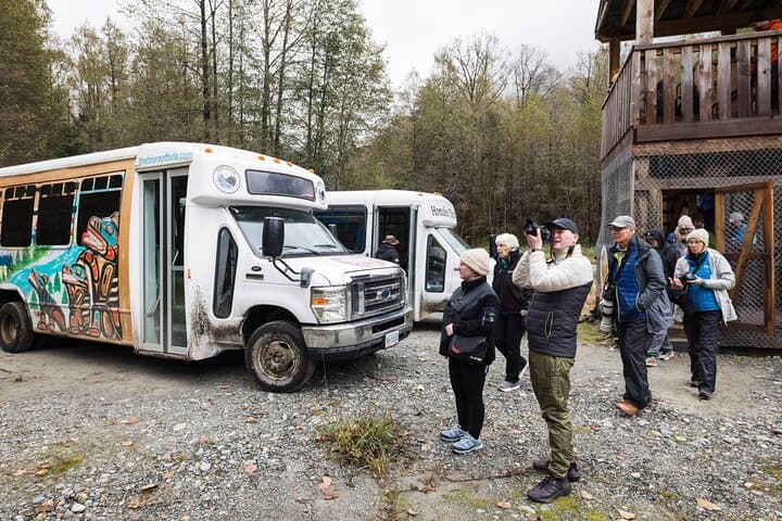 Bute Inlet Grizzly-Watching: Full-Day Boat Tour from Campbell River photo 6