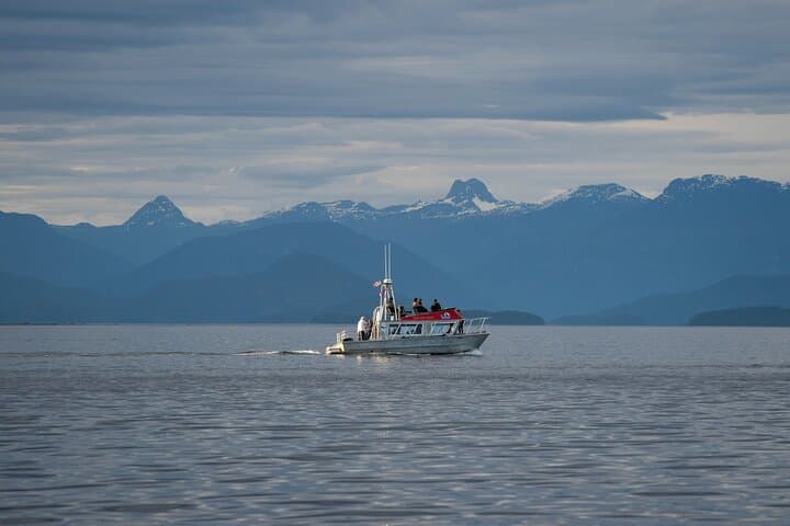 Bute Inlet Grizzly-Watching: Full-Day Boat Tour from Campbell River photo 4