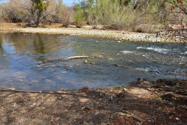 Great Western Trail Jeep Tour and Rio Verde Stop — Sonoran Desert Jeep Adventure from Scottsdale photo 2