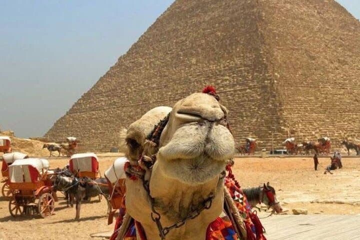 Giza Pyramids Half-Day Private Tour with Optional ATV Ride photo 4