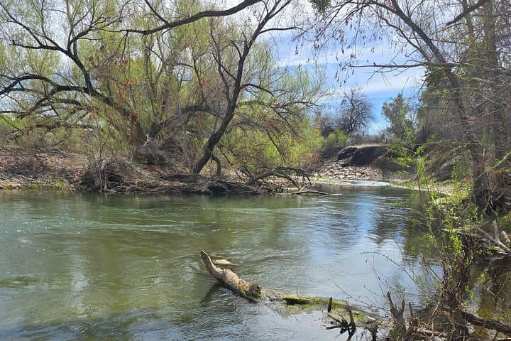 Great Western Trail Jeep Tour and Rio Verde Stop — Sonoran Desert Jeep Adventure from Scottsdale