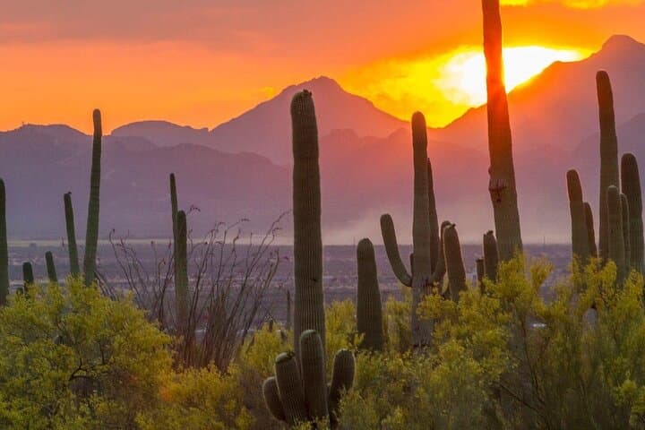 Sunset Great Western Trail Jeep Tour in Scottsdale's Sonoran Desert photo 4