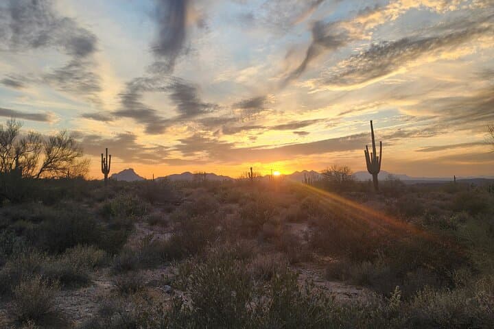 Sunset Great Western Trail Jeep Tour in Scottsdale's Sonoran Desert photo 3