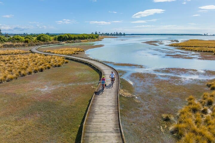 Nelson to Mapua Cycling: Self-Guided Great Taste Trail Day Ride photo 2