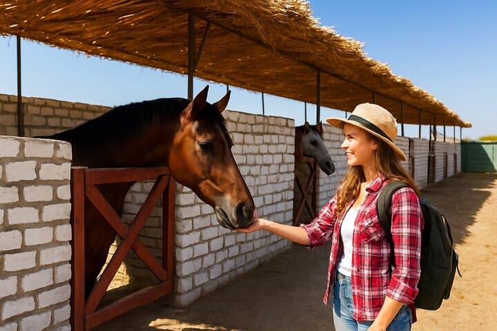Ride and Swim with Horses in Hurghada: Beach, Desert & Red Sea Horseback Adventure photo 3