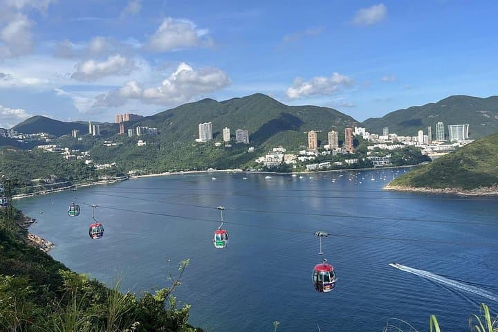 Ocean Park Hong Kong Full-Day Tour from Kowloon – Aquarium, Rides & Rainforest photo 4