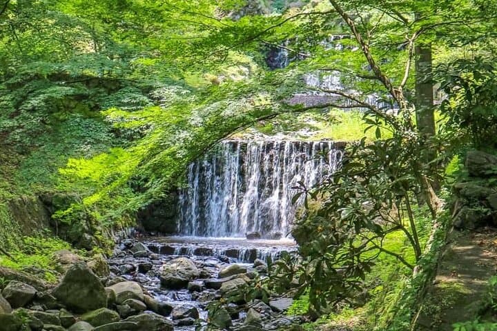 Yoro Site of Reversible Destiny: Walkable Art Tour in Gifu photo 4