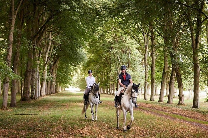 Private Horseback Ride at Versailles: Guided Palace Tour and Royal Gardens Ride photo 1