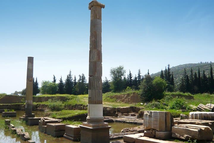 Walk Ephesus: Library of Celsus, Artemis Temple & Claros Oracle with Lunch photo 4