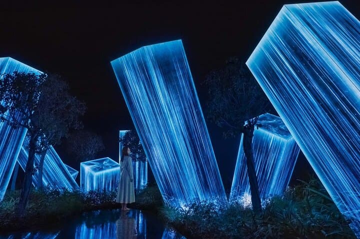 teamLab Phenomena Abu Dhabi: An Interactive Light & Motion Experience in Saadiyat