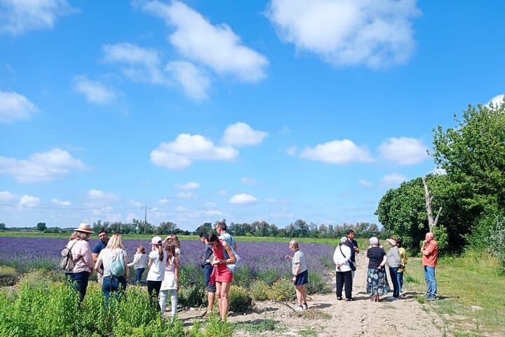 Lavender & Beyond: Half-Day Farm & Workshop Tour from Avignon photo 5