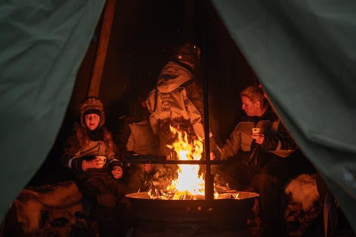Rovaniemi Dog Sledding and Northern Lights Evening Adventure photo 2