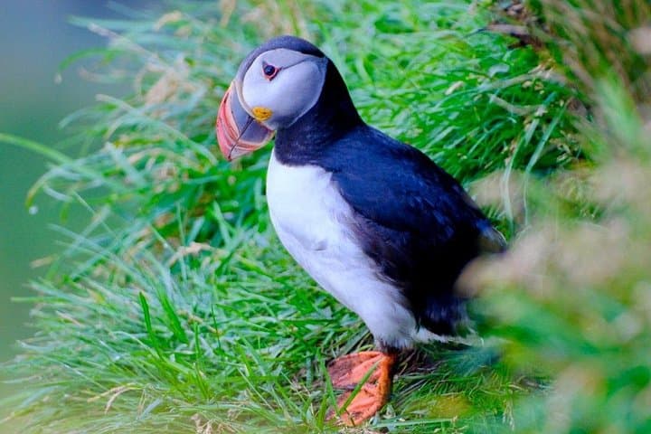 Private South Iceland Nature Adventure: Waterfalls, Black Sand Beaches & Glacier Views photo 3