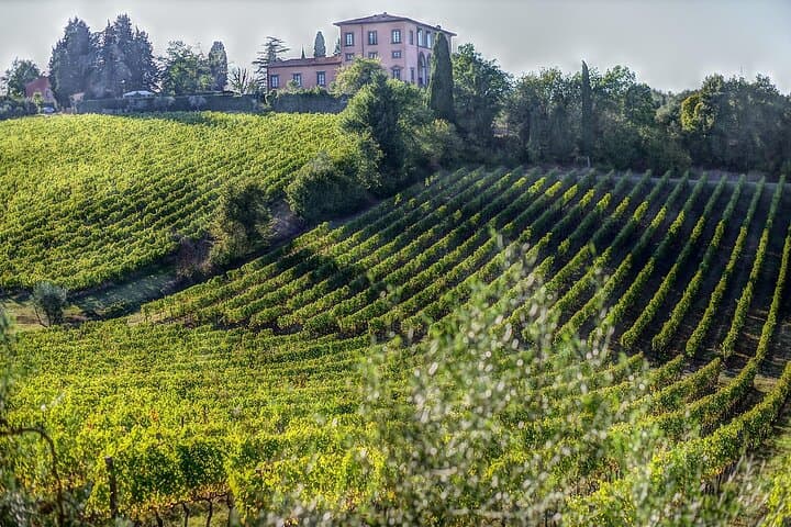 Rome to Florence Private Transfer with San Gimignano Wine & Olive Oil Tasting photo 6