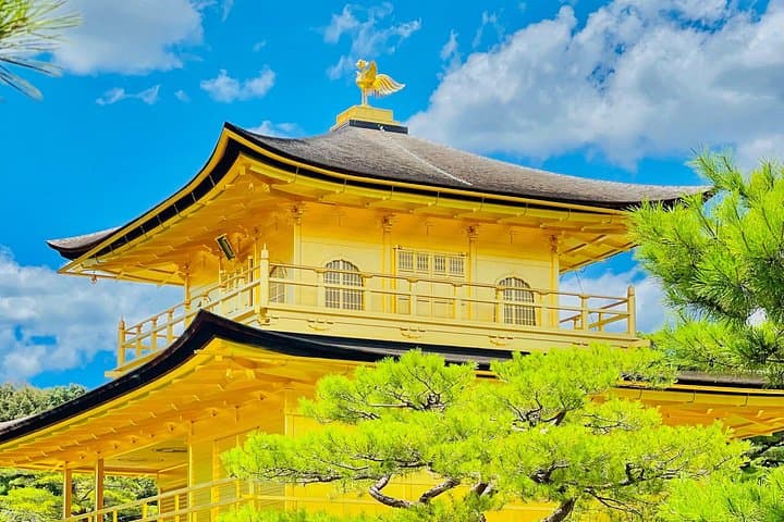Kyoto and Nara Highlights: Private Day Tour with English-Speaking Guide photo 5