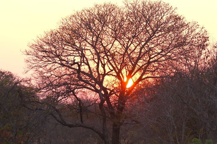 11-Day Hwange to Okavango Safari: Victoria Falls, Chobe & Makgadikgadi Adventure photo 2