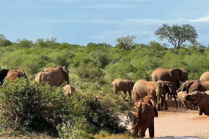 2-Day Tsavo East Safari and Salt Lick Taita Hills Lodge Experience photo 2