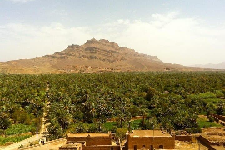 Zagora and Draa Valley Day Trip from Ouarzazate — Tamgroute Library & Tinfou Dunes photo 4
