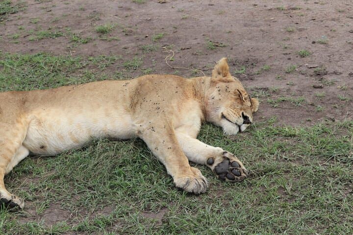 4-Day Tsavo East, Amboseli and Taita Hills Safari Escapade photo 4