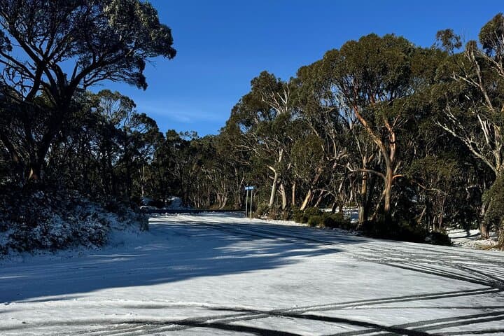 Mount Baw Baw Private Snow Day from Melbourne — Ski, Snowplay & Snowshoe photo 2