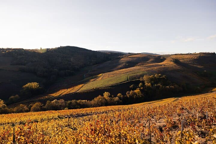 Winter Beaujolais Half‑Day 4WD Wine Tour from Lyon photo 2