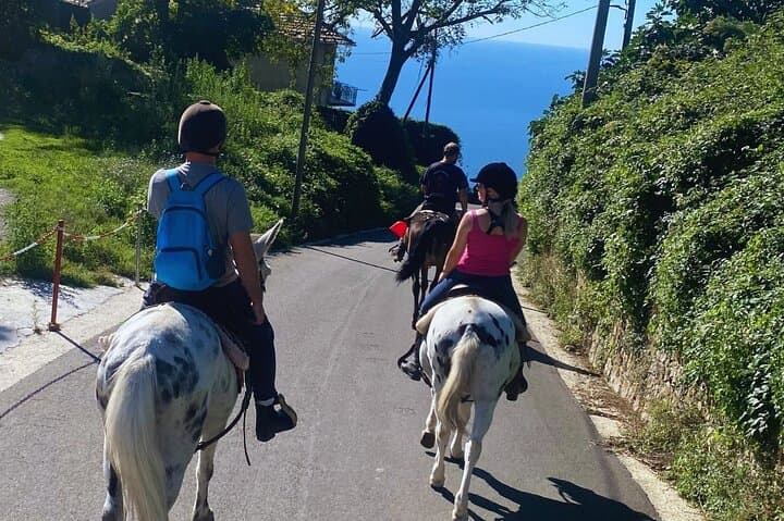 Horseback Riding Agerola: Panoramic Amalfi Coast Ride in the Lattari Mountains photo 6