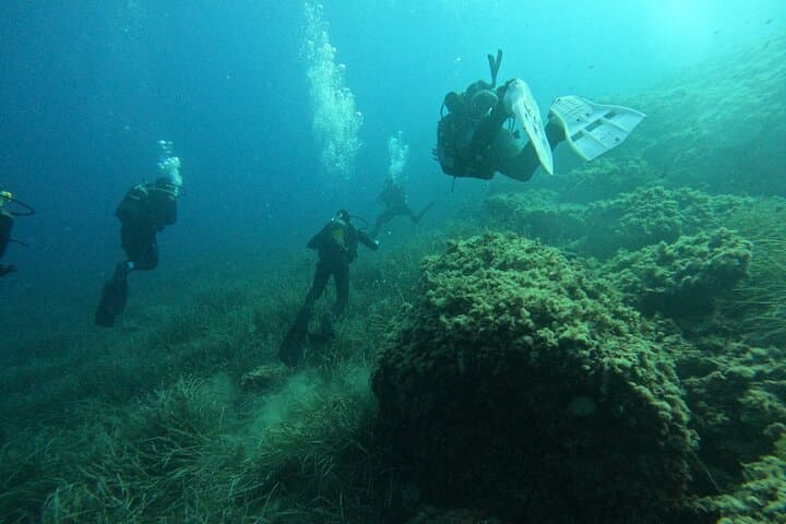 Mallorca Open Water Diver Course: 3-Day SSI Certification in the Mediterranean photo 4