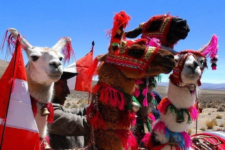 Cusco to Rainbow Mountain: Full-Day Trek to Vinicunca and Red Valley