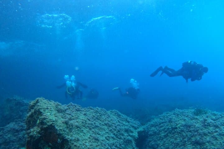Mallorca Boat Discover Scuba: Two-Dive Beginner Experience photo 4