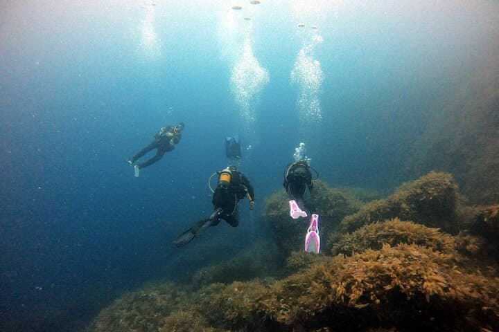 Mallorca Boat Discover Scuba: Two-Dive Beginner Experience photo 3