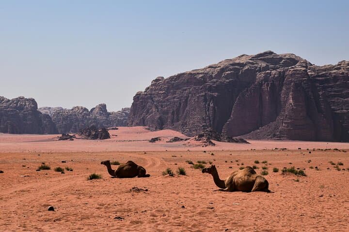 Petra and Wadi Rum: Jeep Safari with Electric Golf Cart to the Treasury photo 4
