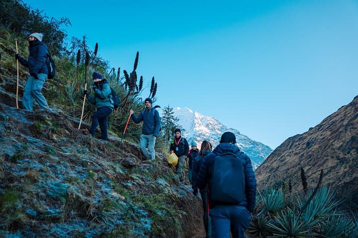 Salkantay Trek to Machu Picchu: 4-Day High-Andes to Cloud-Forest Crossing photo 3