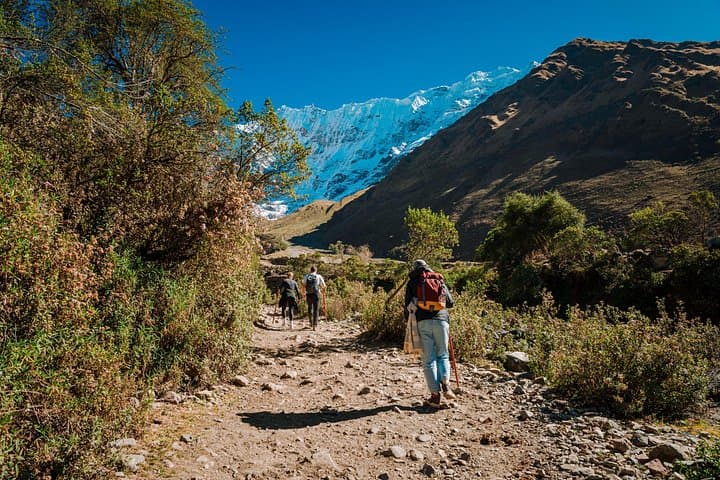 Salkantay Trek to Machu Picchu: 4-Day High-Andes to Cloud-Forest Crossing