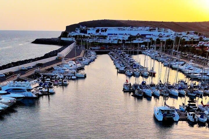 Sunset Dolphin Watching Cruise in Gran Canaria — Small-Group Eco Tour photo 2