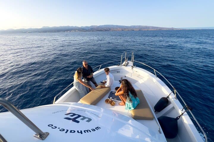 Sunset Dolphin Watching Cruise in Gran Canaria — Small-Group Eco Tour photo 6