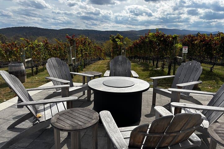 Virginia Wineries Tour: Historic Vineyards Near Washington, D.C. photo 3