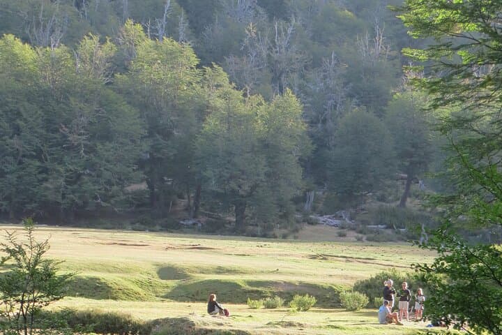 Mallín Grande Meadow Walk — A Different View of San Martín de los Andes photo 2