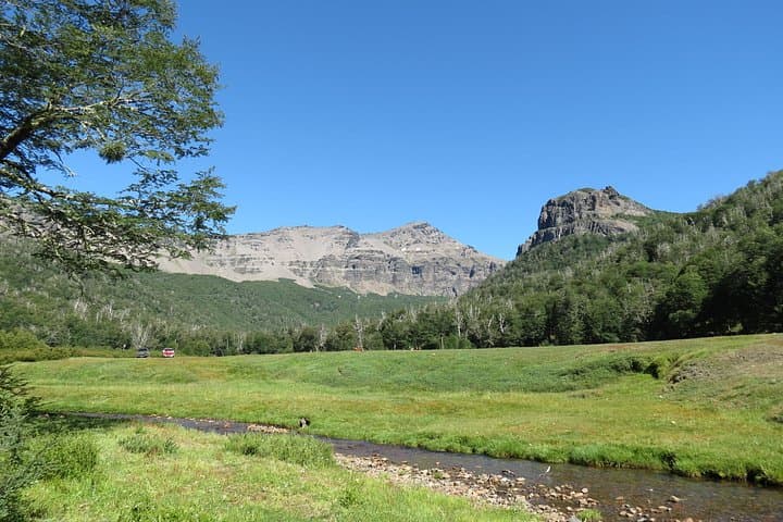 Mallín Grande Meadow Walk — A Different View of San Martín de los Andes photo 4