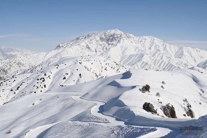 4-Day Silk Road Explorer: Tashkent, Samarkand & Bukhara photo 5