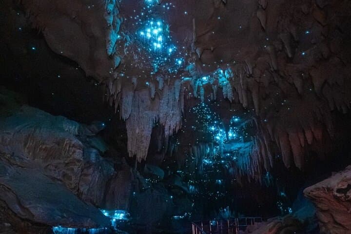 Waipu Milkyway Glowworm Cave & East Coast Day Tour from Auckland
