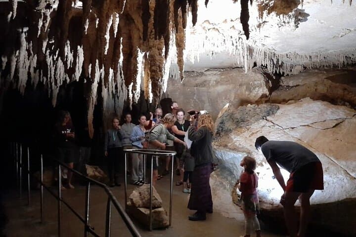 Waipu Milkyway Glowworm Cave & East Coast Day Tour from Auckland photo 3