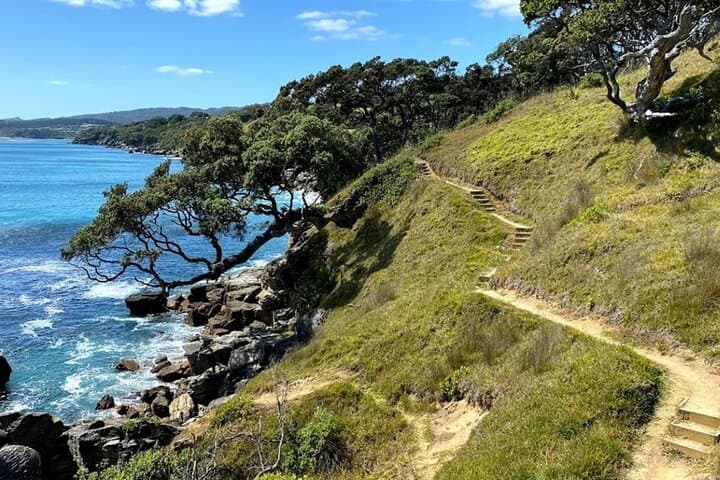Waipu Milkyway Glowworm Cave & East Coast Day Tour from Auckland photo 6